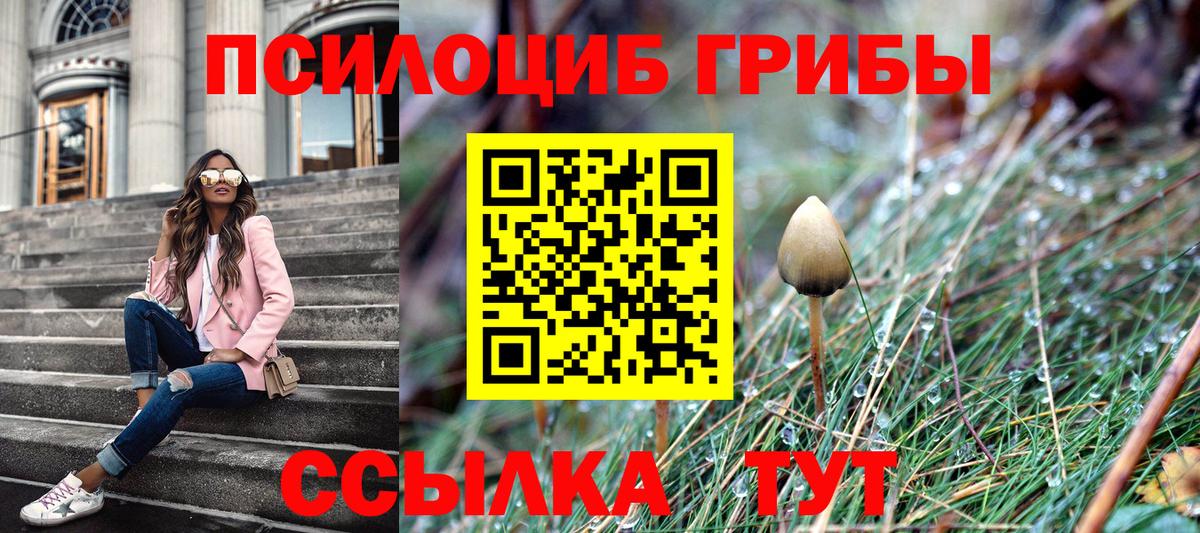 Псилоцибиновые грибы Cubensis Нижневартовск